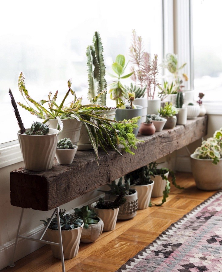 jardim de inverno 4 dicas para um cantinho verde ideias para jardim de jardim de inverno 4 dicas para um cantinho verde ideias para jardim de