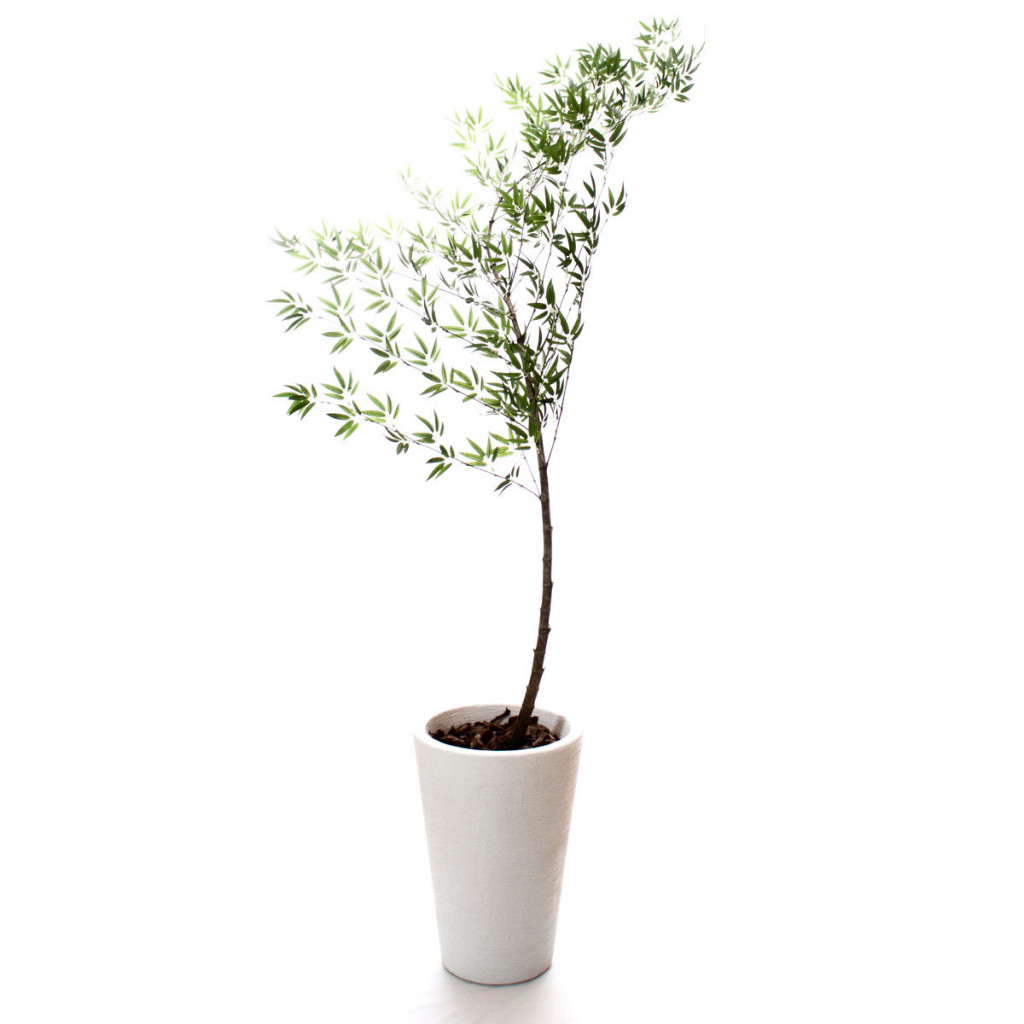 Fonte: Casa Vie Arte e Decoração