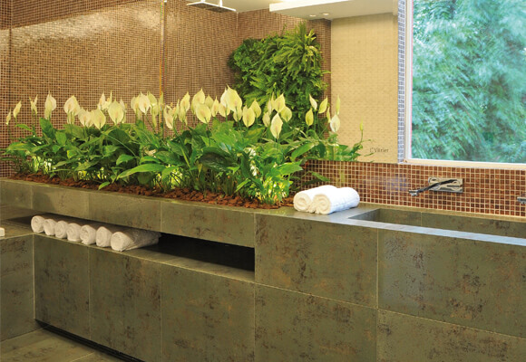 plantas na pia do banheiro