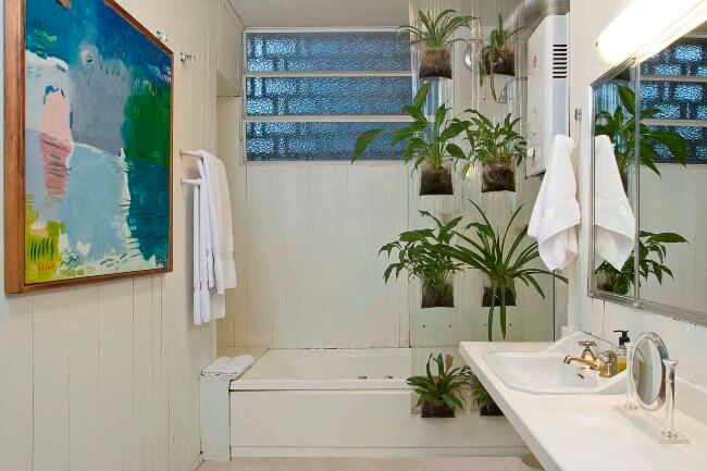 Banheiro pequeno com plantas