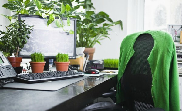 Mesa de Escritório com vasos de plantas
