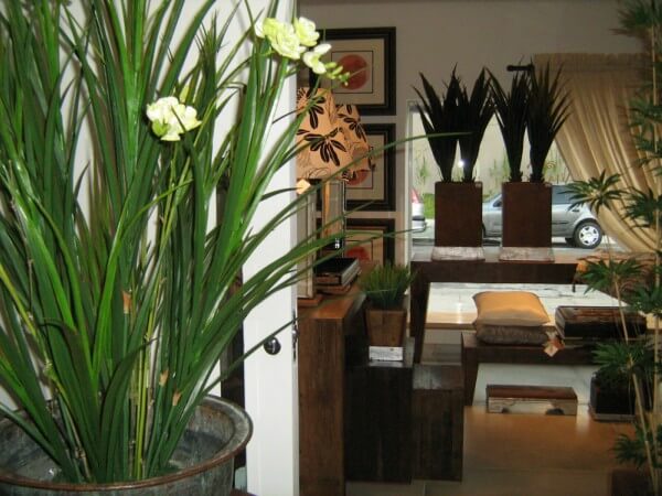 Plantas para sala
