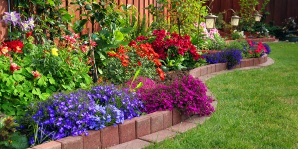 Flores para jardim externo