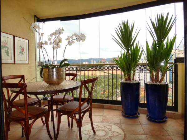 plantas para vasos grandes