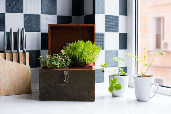 Mini-horta