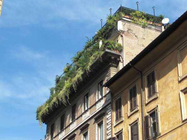 Jardim em Apartamento