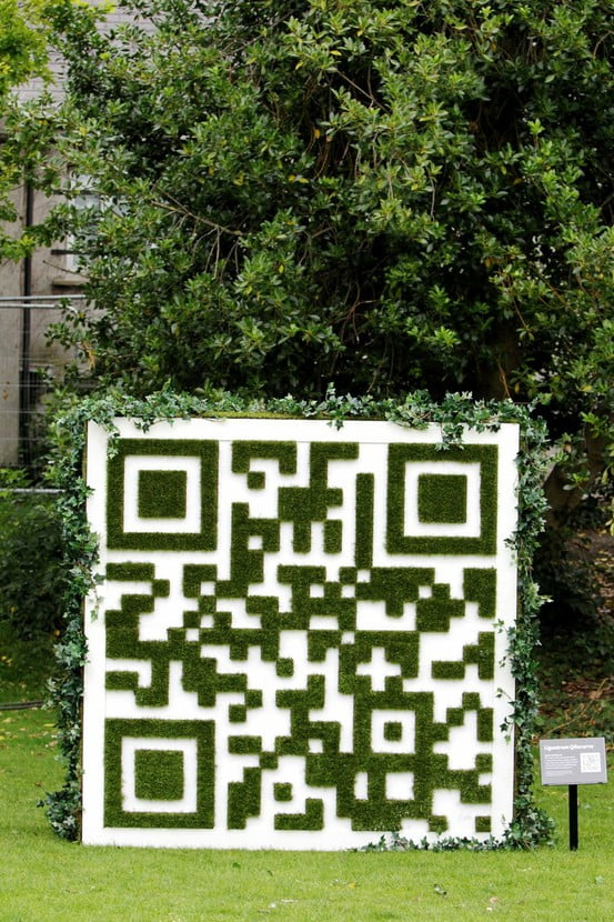 qr-code-grass