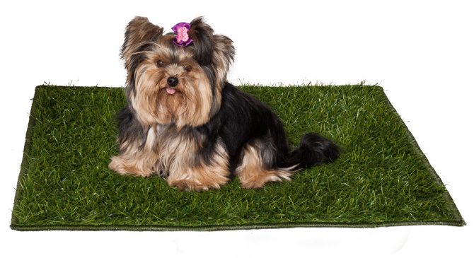 Tapete quadrado de grama sintética para pets