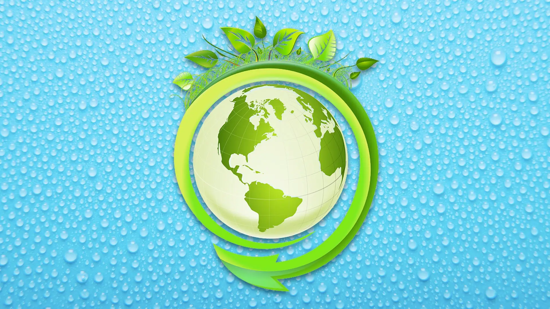 Sustentabilidade - atitudes para preservar o meio ambiente