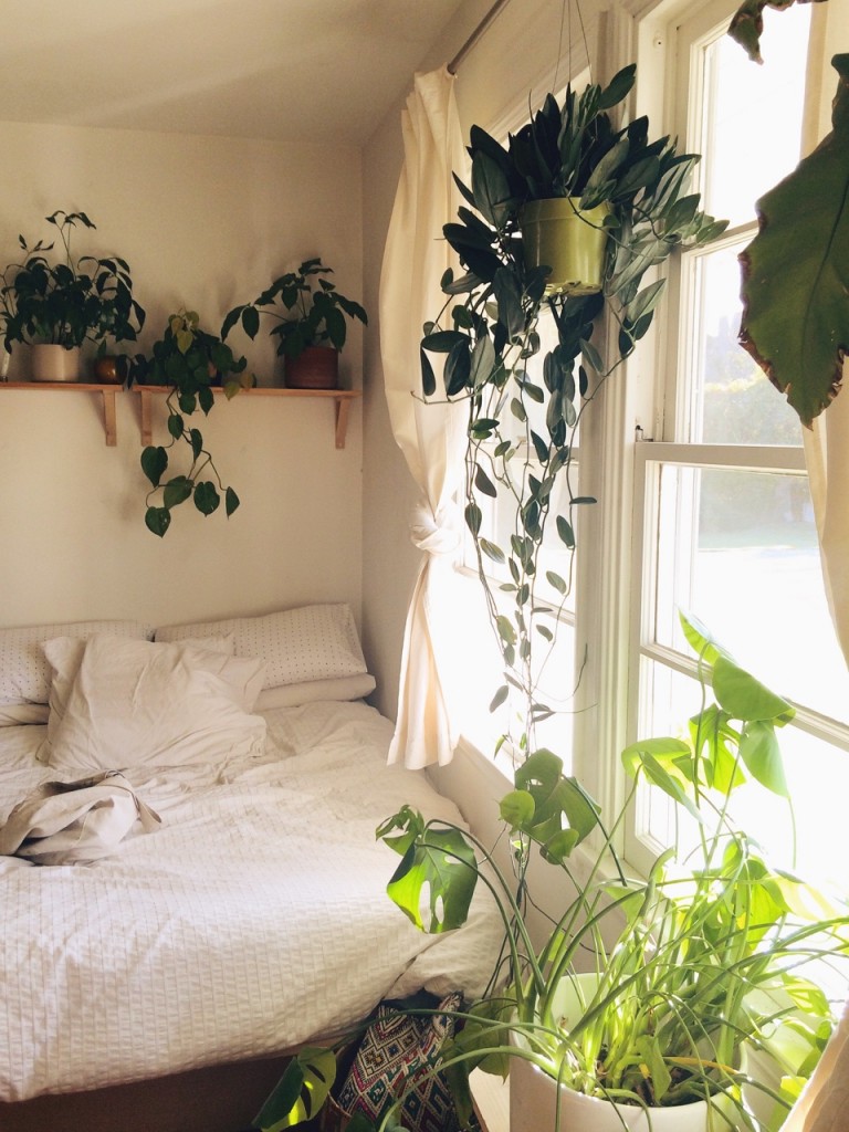 quarto branco com plantas
