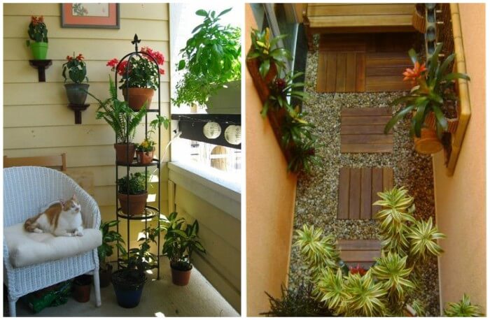 jardim pequeno interno