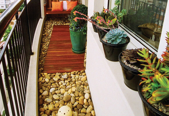 plantas pequenas para varanda