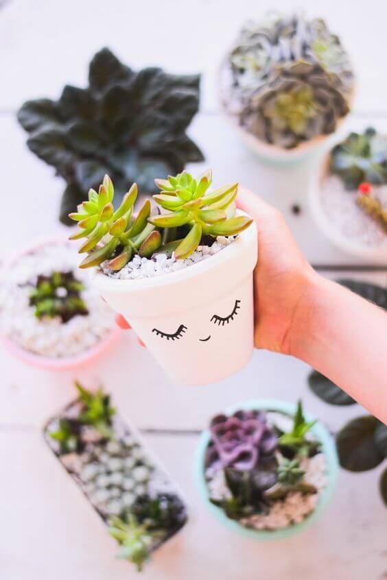 vasos decorado para plantas pequenas