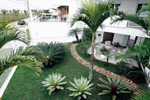 Plantas resistentes ao sol