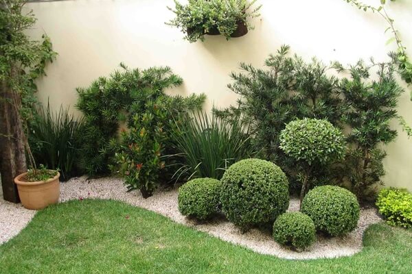 Como fazer um jardim barato