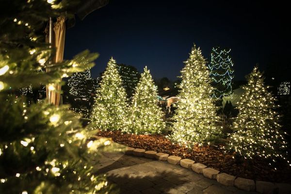 Decoração de natal para jardim