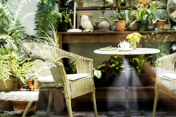 Plantas para jardim pequeno dentro de casa