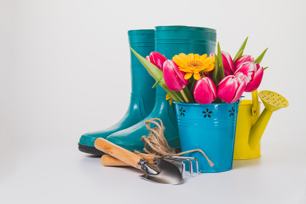 Materiais básicos para criar um jardim