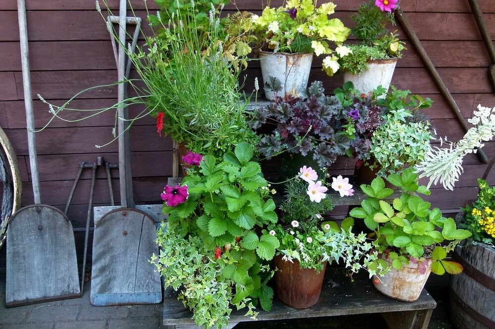 Espaço com vasos de plantas em quintal