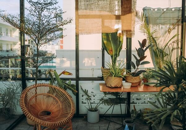 Existem excelentes motivos para ter plantas em casa. Acesse e conheça!