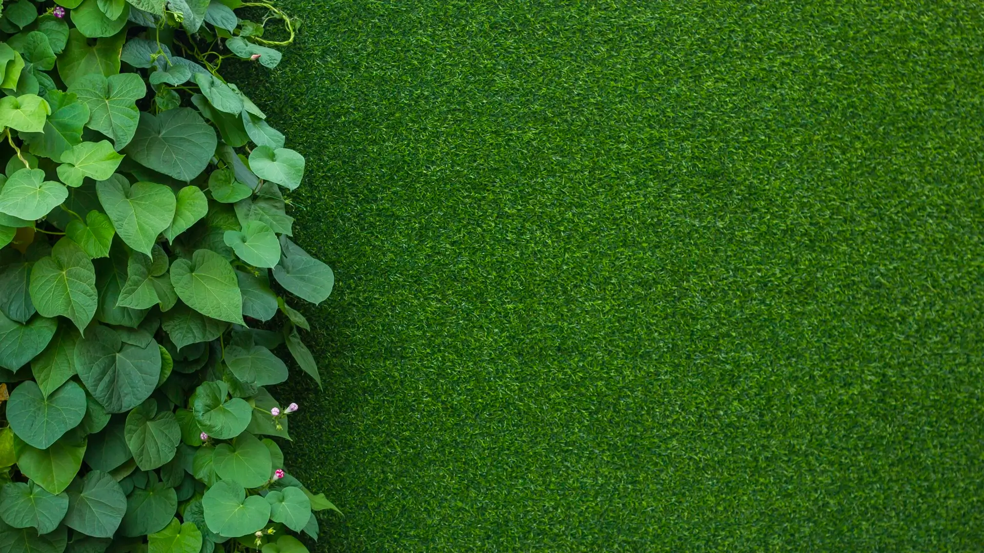 Colar Grama Sintética na Parede